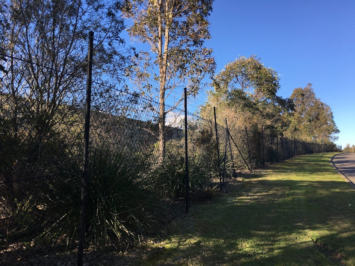 Floraville Chainwire Fencing Newcastle