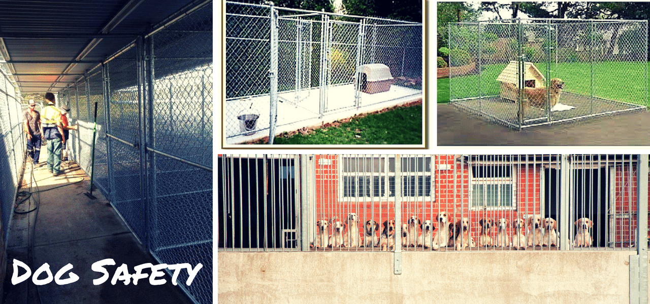 Good Dog Fence Makes Good Neighbours