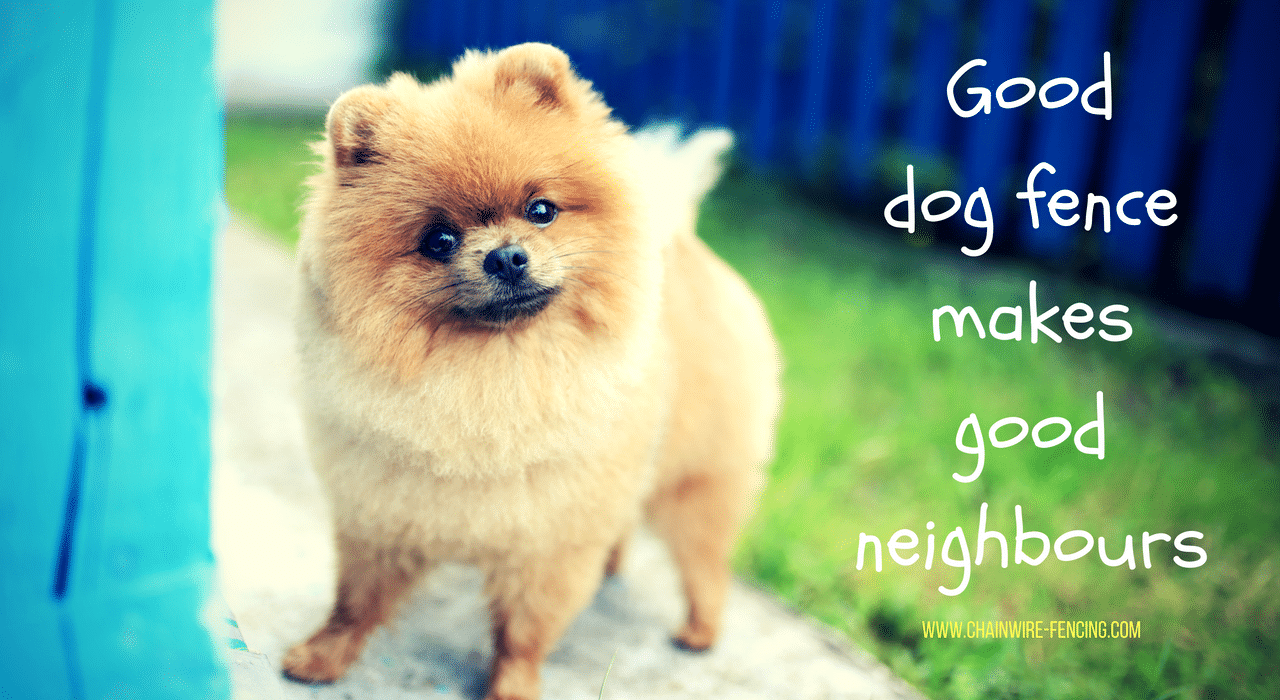 Good dog fence makes good neighbours - Chainwire Fencing Newcastle
