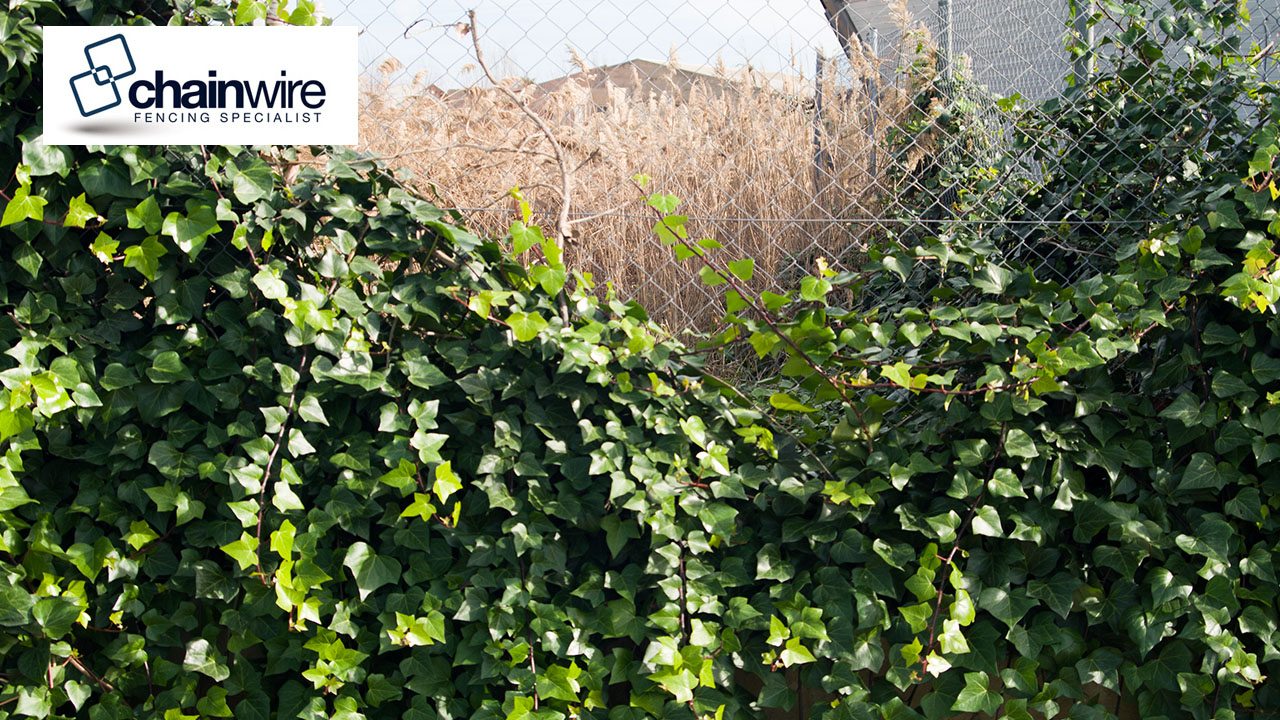 chainwire fencing specialist newcastle - Chainwire Fencing Newcastle