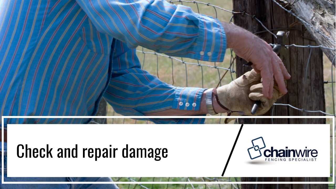 Tips for Maintaining Your Fence in the Summer - Fence