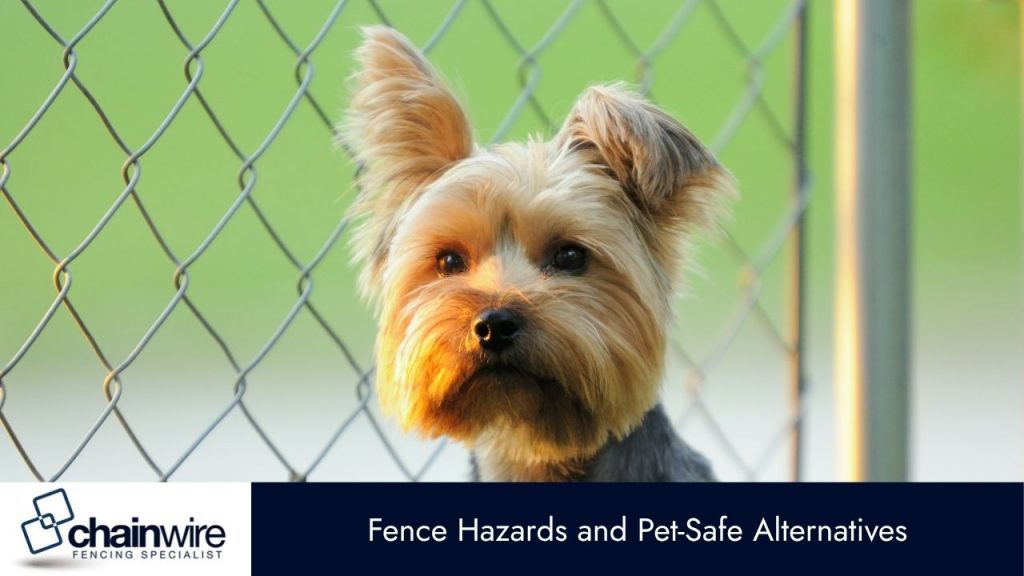 Lawn Safety – Protecting Pets from Garden Hazards - Pets