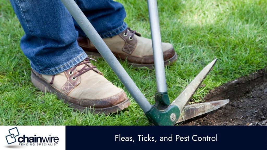 Lawn Safety – Protecting Pets from Garden Hazards - Pets