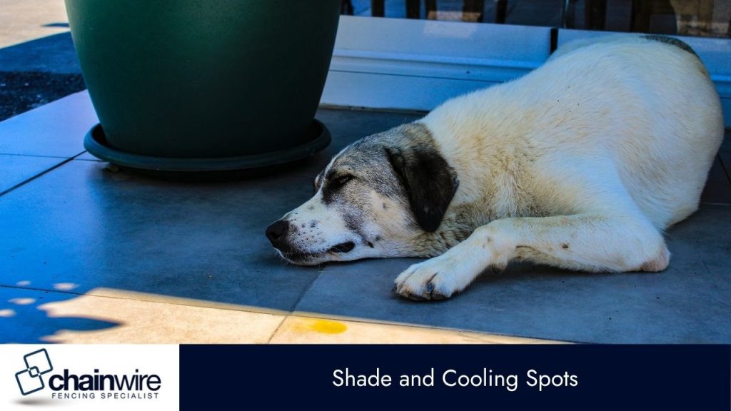 Lawn Safety – Protecting Pets from Garden Hazards - Pets