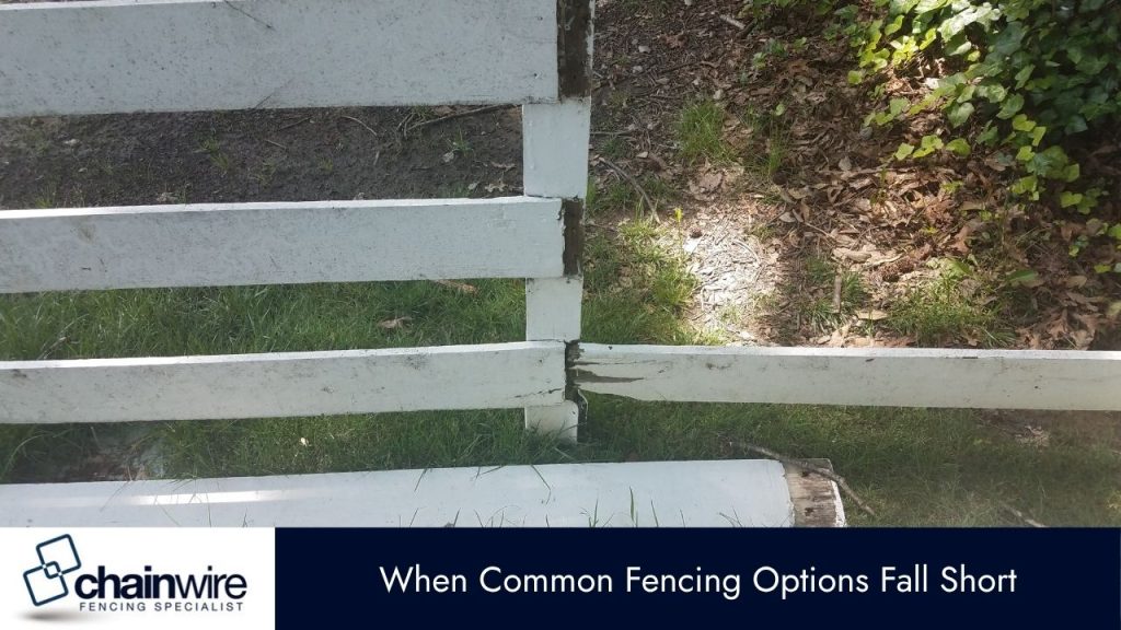 Chainwire Fencing for Animal Containment - chainwire fencing