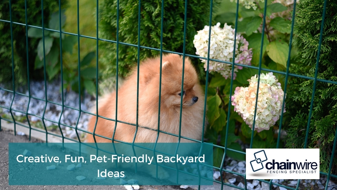 Creative, Fun, Pet-Friendly Backyard Ideas