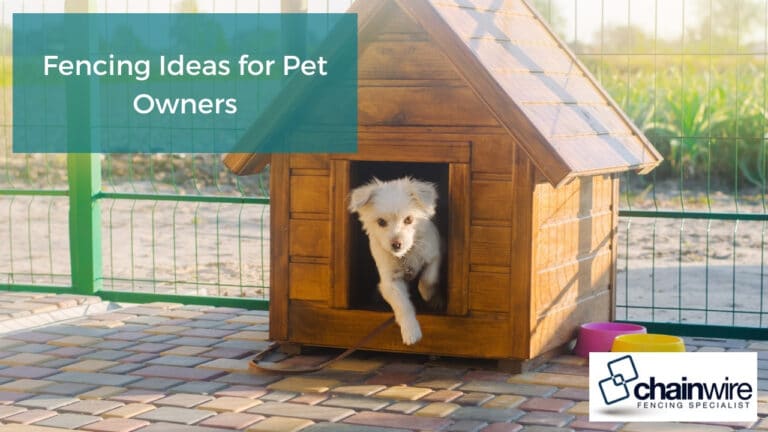 Fencing Ideas for Pet Owners