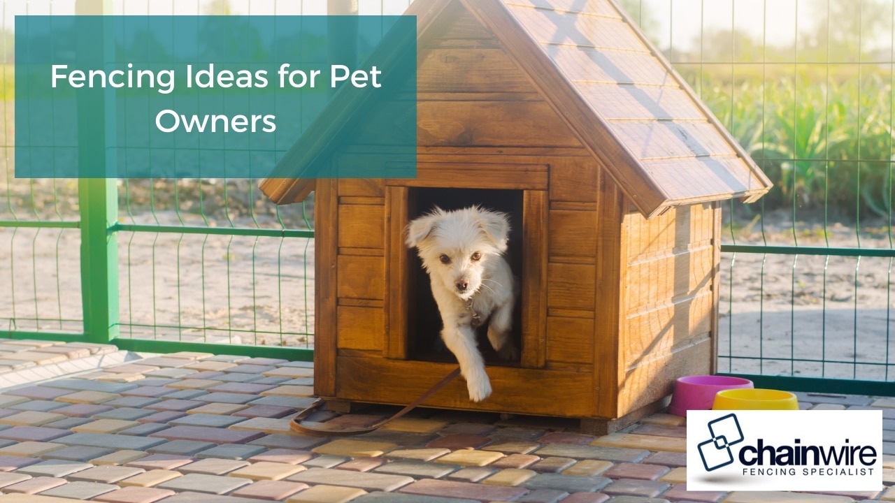 Fencing Ideas for Pet Owners