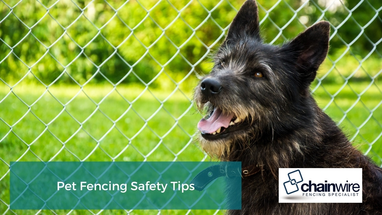 Pet Fencing Safety Tips