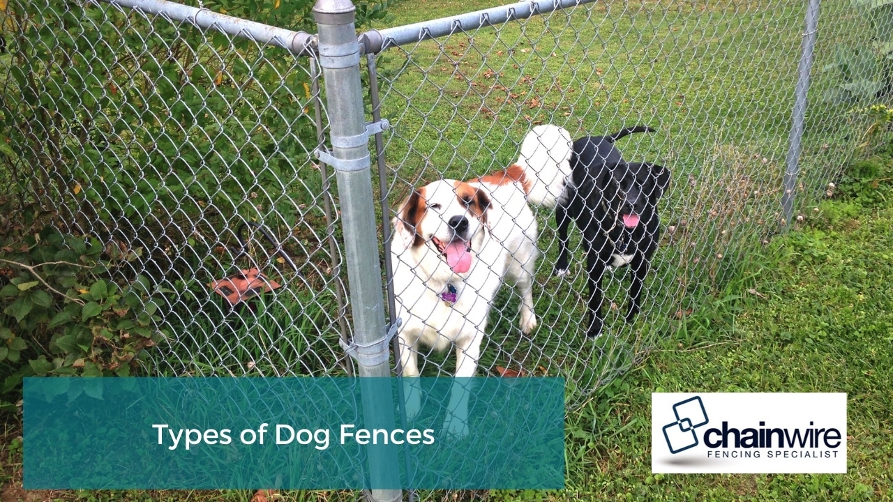 Types of Dog Fences