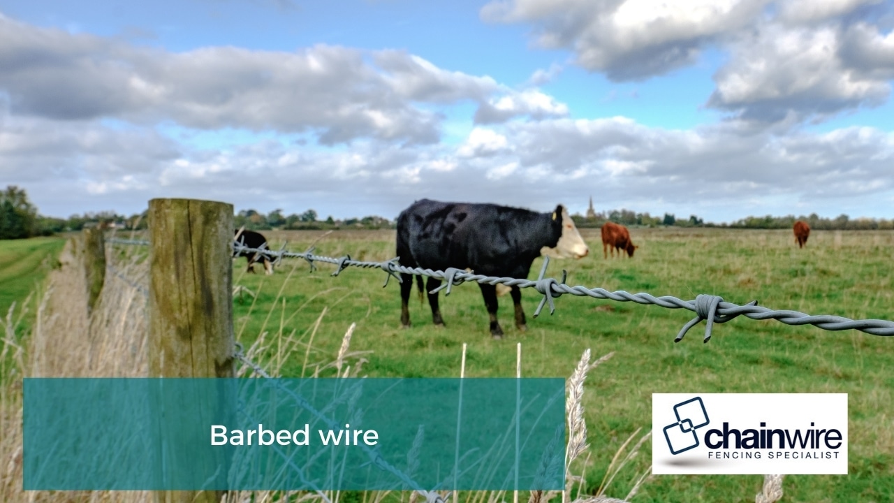 Barbed wire