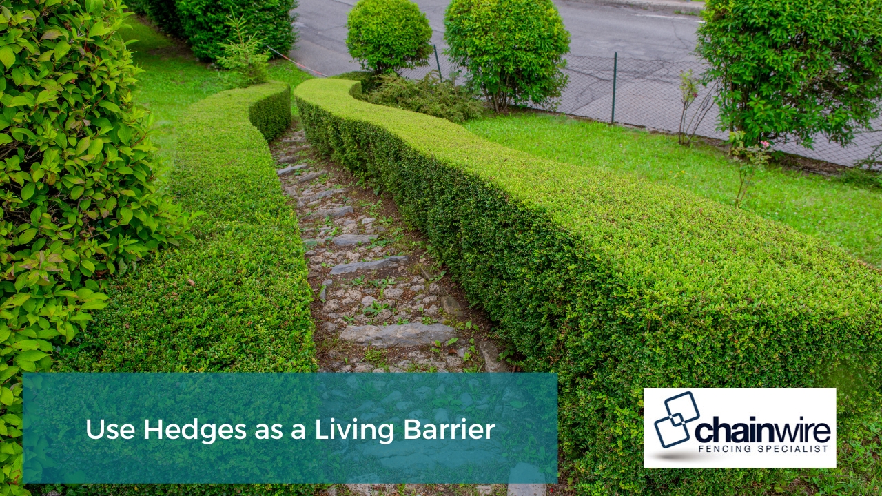 Use Hedges as a Living Barrier