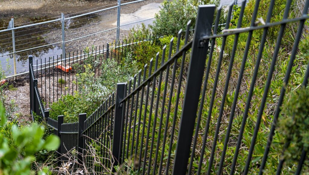 catherine hill bay project image 6