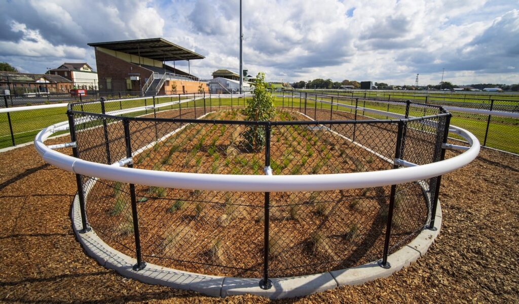 newcastle jockey club project image 10