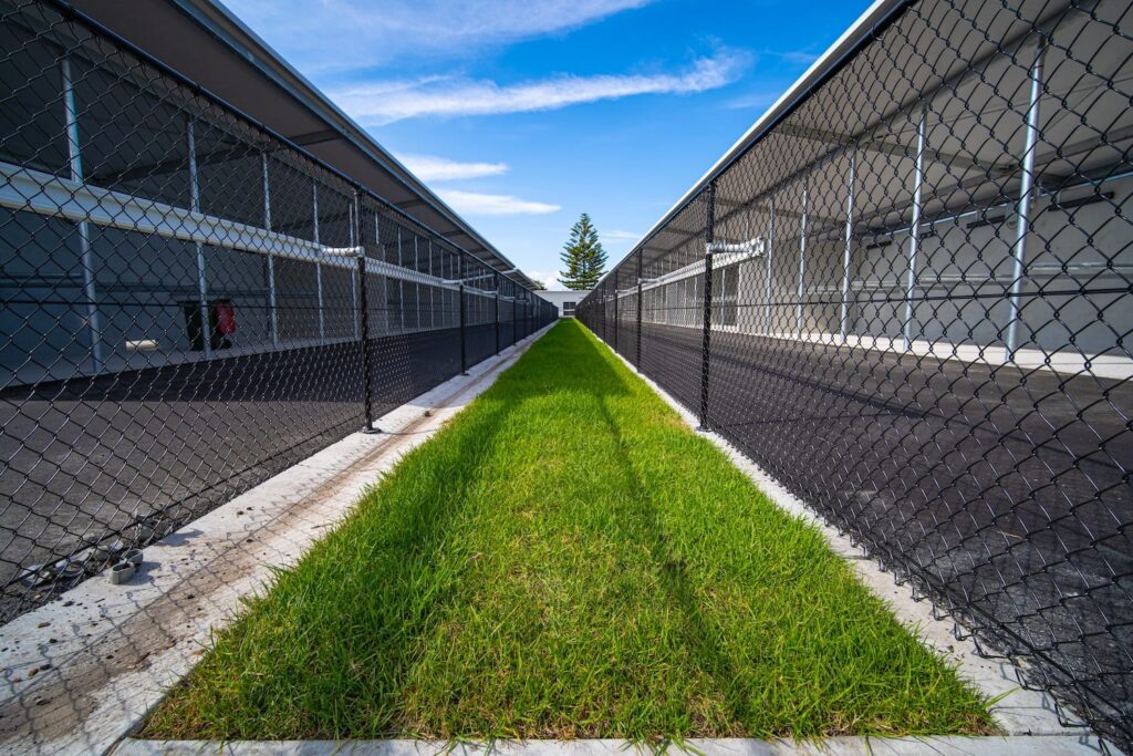 newcastle jockey club project image 4