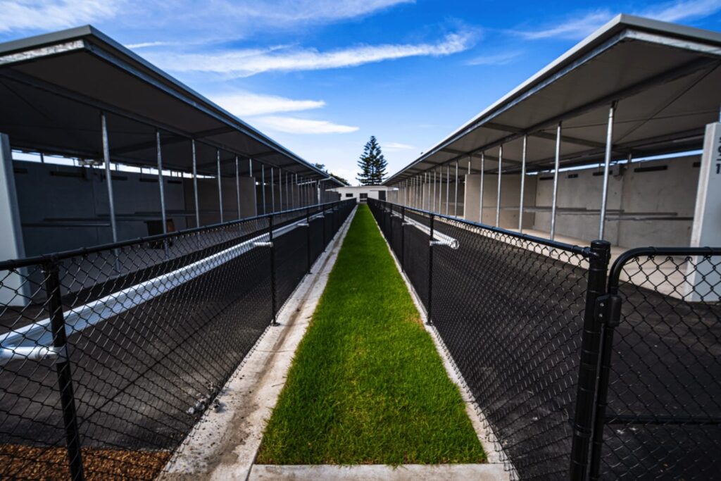 newcastle jockey club project image 5