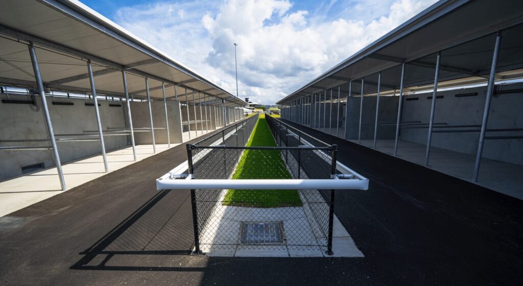 newcastle jockey club project image 6