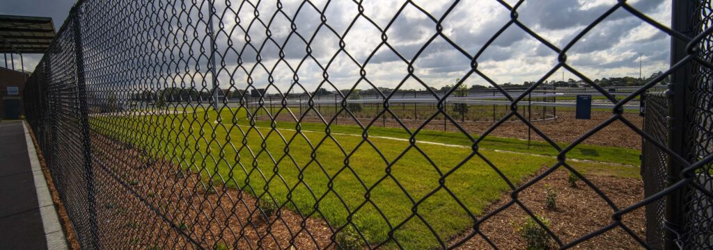 cages and enclosure banner