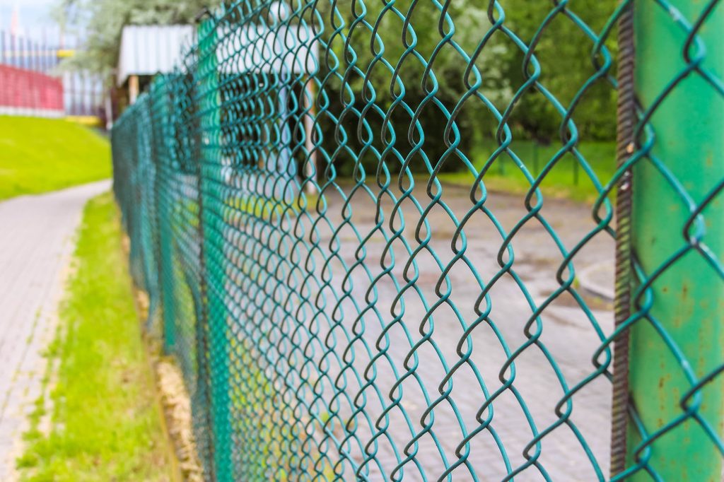 A green chain-link fence stretches into the background, bordering a paved path and a green grassy slope.