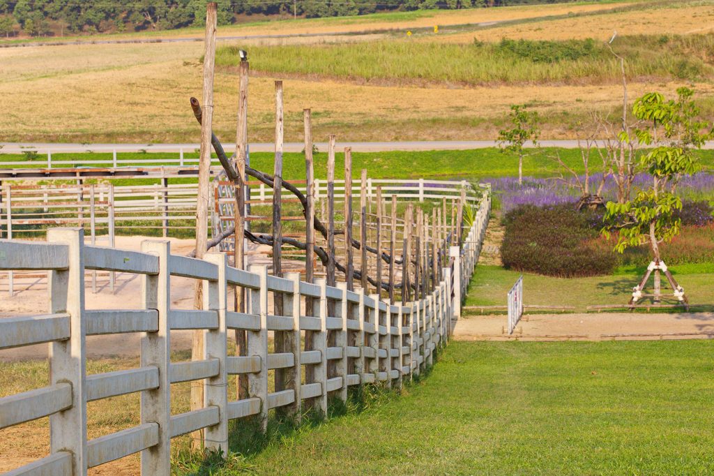 Gloucester Fencing - Fencing
