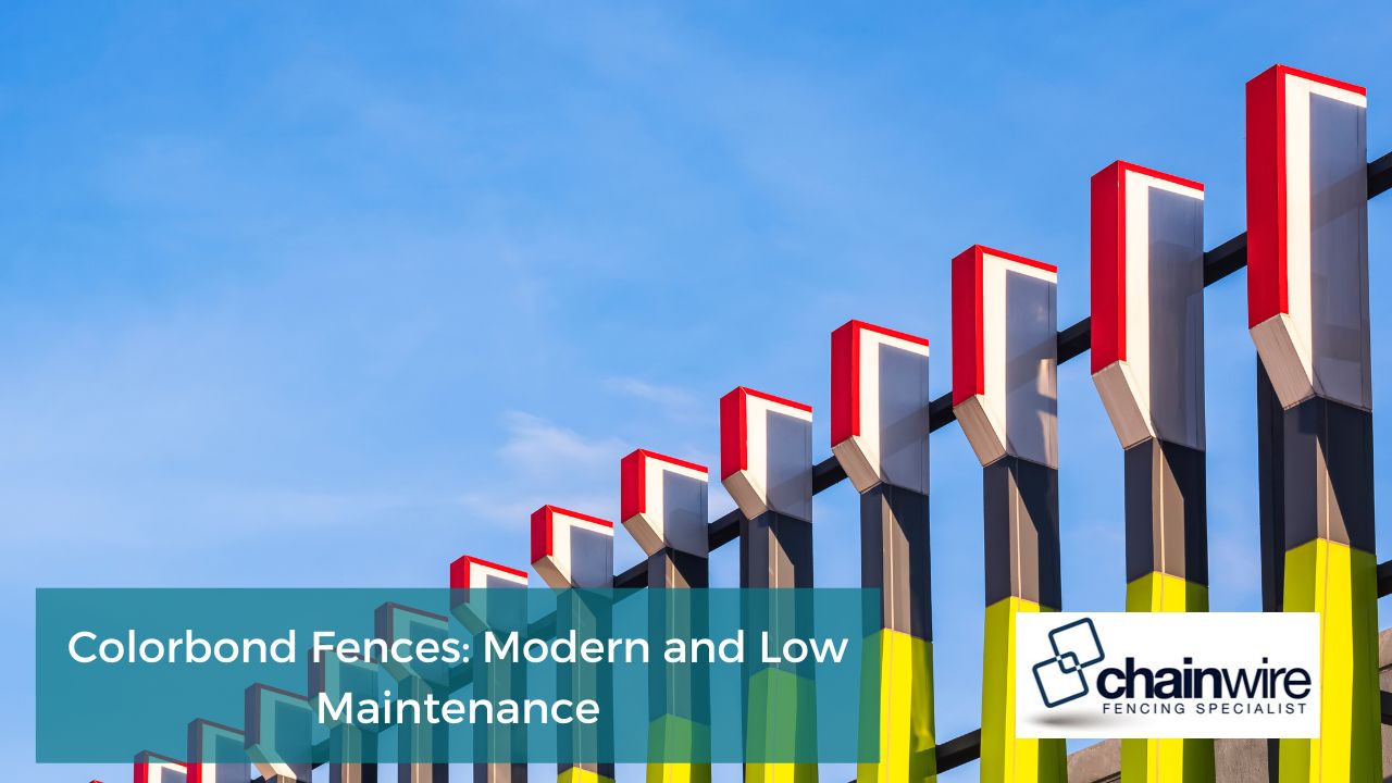 Colorbond Fences: Modern and Low Maintenance