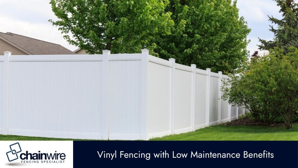 Budget-Friendly Fence Options - Fence
