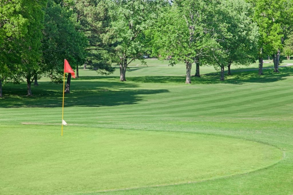 A view of a well-maintained golf course putting green with a small red flag marking the hole.
