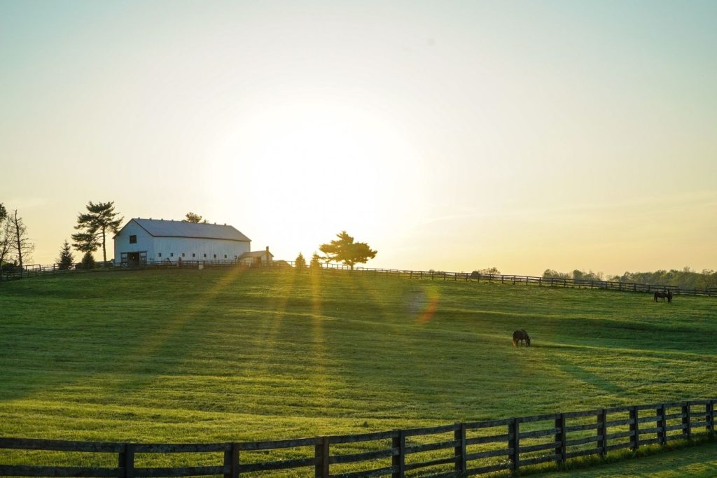 A white barn and silo sit on a lush green hill in the distance, with a single tree in front of the sun, which is low on the horizon.