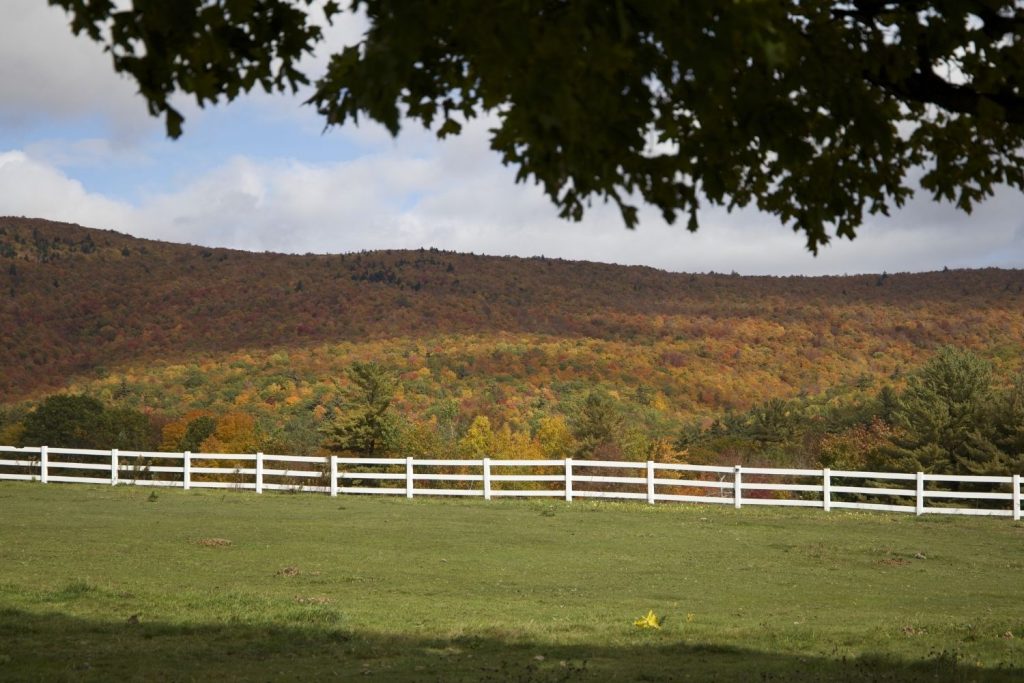 A long, white three-rail fence runs across a green grassy field. In the background, a large hill is covered in a dense forest of trees with vibrant red, orange, and yellow autumn leaves.