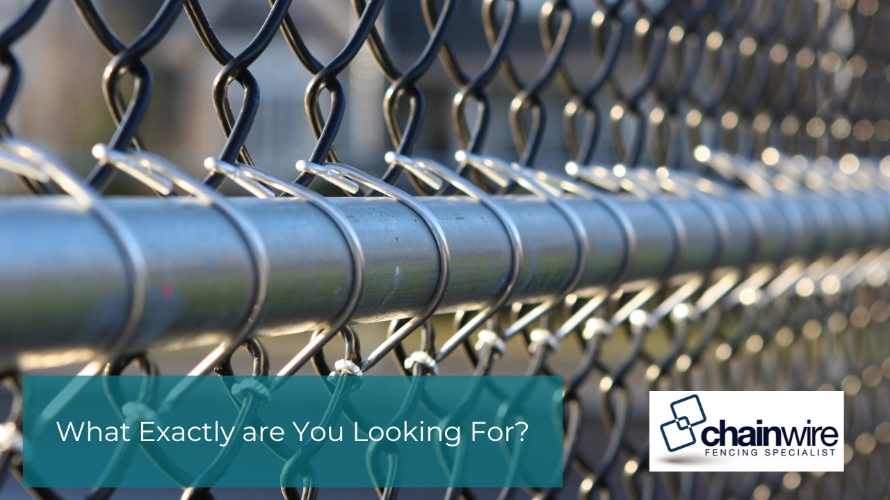 What Exactly are You Looking For